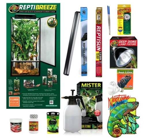 How to take care of a pet chameleon | Neptune the Chameleon